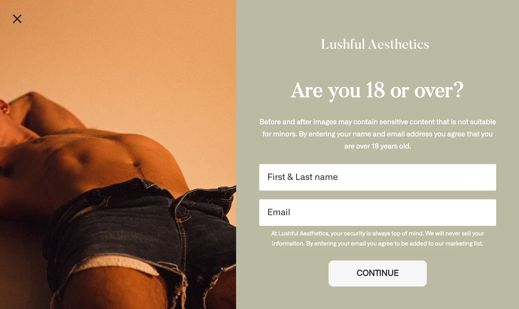 Age verification modal and gallery gate states