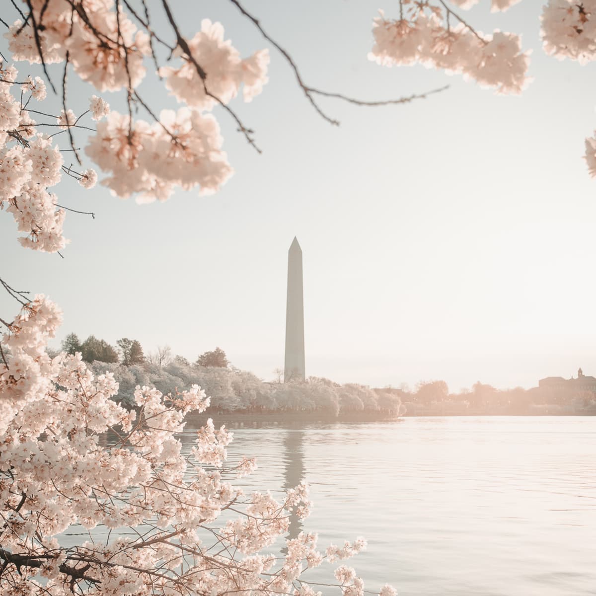 Picture of Death Valey project